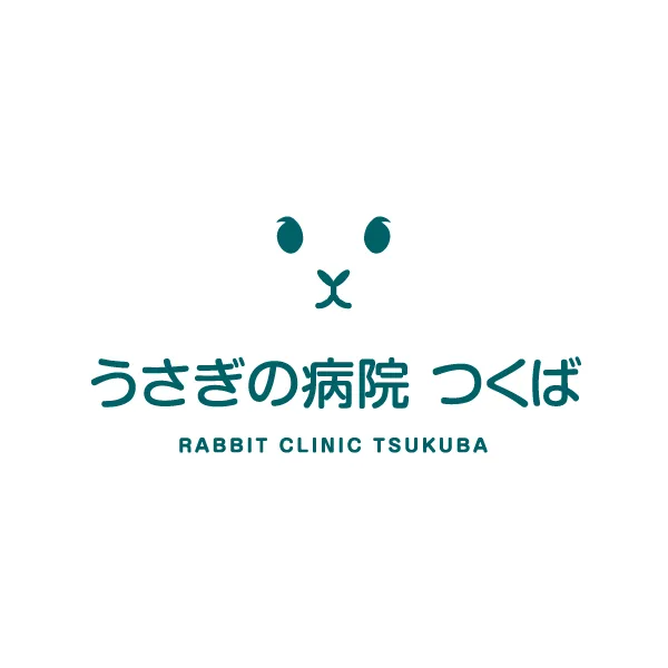 うさぎの病院 つくば | 茨城県つくば市・土浦市
